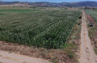 Mir'den Balıkesir /gökçeyazı/orta Mah.de 7.769 M2.sulu Tarla