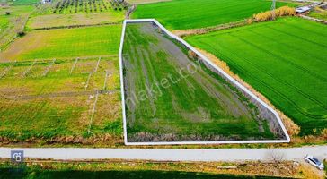 İzmir Foça Hacıveli Mahallesinde Satılık Tarla