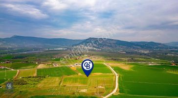 İzmir Foça Hacıveli Mahallesinde Satılık Tarla