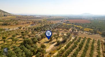 Foça Kocamehmetler'de Yol Üzeri Satılık 2 Dönüm Tarla