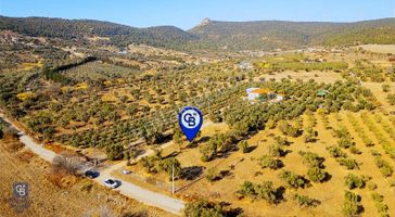 Foça Kocamehmetler'de Yol Üzeri Satılık 2 Dönüm Tarla