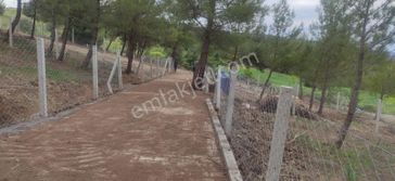 Menderes Çatalca'da 290 M2 Hisseli Tarla Satılıktır