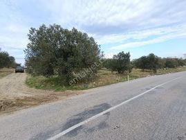 Taş Emlak'tan Harika Konumda Yol Cepheli Köşe Arsa