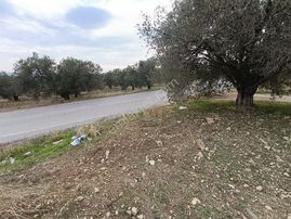 Taş Emlak'tan Harika Konumda Yol Cepheli Köşe Arsa