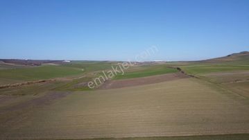 Mayadan Yenice'de Köye Yakın Verimli Fırsat Tarla