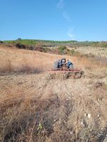 Sahibinden Asfalt Yolu Olan Tek Tapu Manzaralı Verimli Tarla