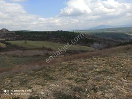 Sahibinden Asfalt Yolu Olan Tek Tapu Manzaralı Verimli Tarla