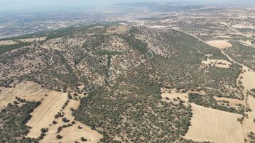 Denizli Çivril İğdirde Ağaçlı Yatırımlık Fırsat Tarla!!!