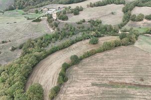 Kırklareli Kofcaz Ahmetler'de Fırsat Arazi! Son Fiyat!!