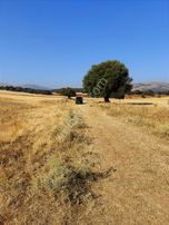 Afyon/kızılören Merkezde Yola Cepheli, Ev Yapımına Uygun Arazi