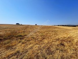 Afyon/kızılören Merkezde Yola Cepheli, Ev Yapımına Uygun Arazi