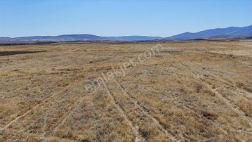 Acil!eskişehir/günyüzü/özler, Ev Ve Çiftlik Yapımına Uygun Arazi