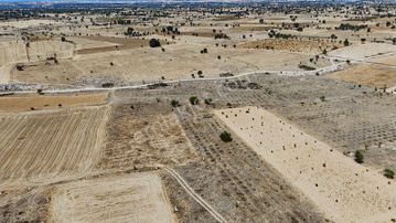Denizli Bekilli Kutlubey'de İçinde Üzüm Bağı Olan Arazi!!!