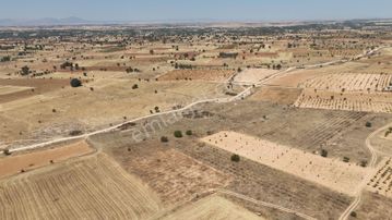 Denizli Bekilli Kutlubey'de İçinde Üzüm Bağı Olan Arazi!!!