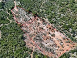 Milas'ta Havalimanı Ve Doğa Manzaralı Muhteşem Zeytin Arazisi