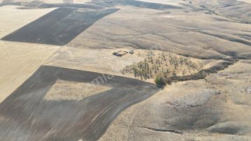 Alpu/aktepede Yollu, Ev Ve Ceviz Ağaçları Dahil Satılık Arazi