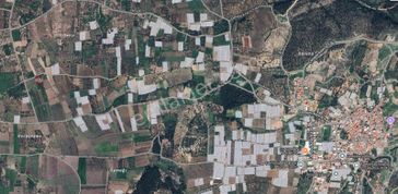 Manisa Akhisar'da Sera Potansiyelli, 1.827 M2 Satılık Zeytinlik