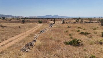 Denizli Bekilli Yeşiloba'da Satılık Fırsat Üzüm Bahçesi!!!
