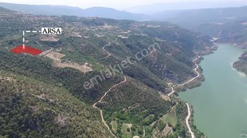 Denizli Güney Cindere'de Yatırımlık Fırsat Meyve Bahçesi!!!