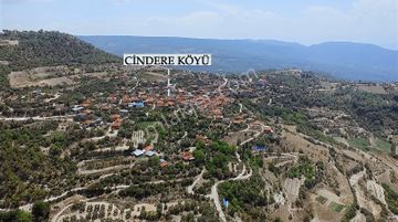 Denizli Güney Cindere'de Yatırımlık Fırsat Meyve Bahçesi!!!