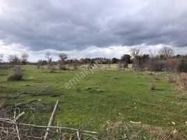 Çanakkale Bayramiç Yanıklar'da Yatırımlık Fırsat Arazi!!!