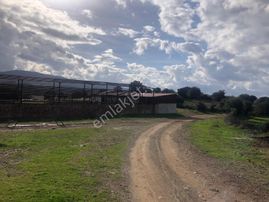 Çanakkale Bayramiç Yanıklar'da Yatırımlık Fırsat Arazi!!!