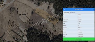 Kütahya Simav Sarıkaya'da Yatırımlık Fırsat Arazi!!!