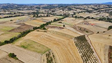 Kandıra Da Ev Yapmaya Ve Çiftlik Yapmaya Uygun Fırsat Arazi