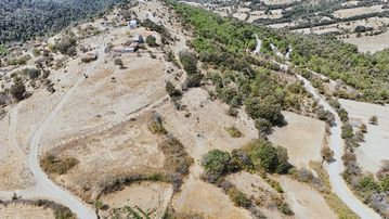 Bayramiç Kaykılar Da Köy İçinde 5840 M2 Arsa