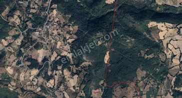 Balıkesir / Kepsut / Kayaeli Mahallesinde 3.069 M² Müstakil Ara