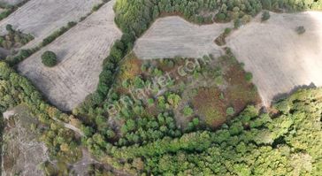 Çanakkale Yenice Tabanköy'de Fırsat Arazi