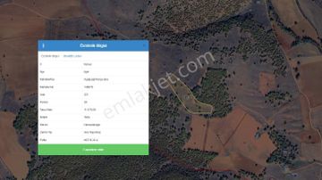 Konya Beyşehir Gökçekuyuda Fırsat Tarla