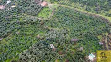 Erdek Alaettin Mahallesi Ana Caddeye Yakın 851m² Satılık Fırsat Zeytinlik