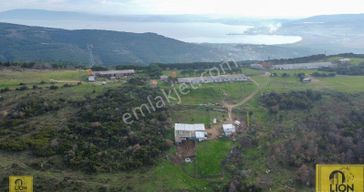 Erdek Yukarıyapıcı Bandırma Yoluna 100m Mesafede 2920m² Satılık Tarla