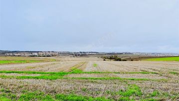 Silivri Alipaşa Mahallesi Satılık 258 M² İmar Sınırında Tarla