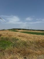 Silivri Büyükkılıçlı'da Kadastro Yola Cephe Tek Tapu Arazi