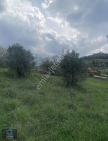 Pürsünler Mahallesi Satılık Arsa