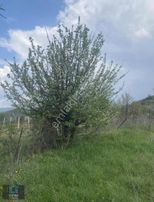 Pürsünler Mahallesi Satılık Arsa