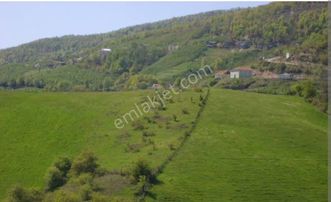 Yuşa'dan Sakarya Hendek Güldibi'nde 5991 M2 Parsel