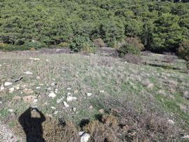 Klas Emlak'tan Kumluca Yeşilköy'de 10 Dönüm Satılık Arazi