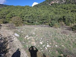 Klas Emlak'tan Kumluca Yeşilköy'de 10 Dönüm Satılık Arazi