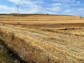 Başkan Emlaktan Satılık Yeşilyurt 1.451 M2 Söğüt Asfaltı Üzeri