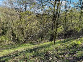 Çan Maltepe'de Köyiçi 7.386 Köyiçi Villa Sitesi Projesine Uygun