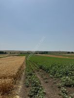 Silivri Seymen'de 11.000 M2 Tek Tapu Satılık Tarla