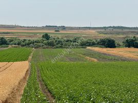 Silivri Seymen'de 11.000 M2 Tek Tapu Satılık Tarla