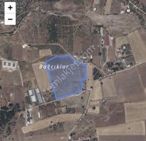 Korkuteli Bayatbademler'de 31 Dönüm Tarla - Yatırıma Uygun !!!