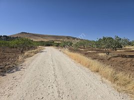 Yasin Batan'dan Günışık'ta Yola 390 Metre Mükemmel Fıstıklık!