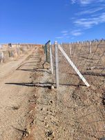 Sarsılmaz Grup'tan Akyurt Cücük'te Fırsat Satılık Hobi Bahçeleri