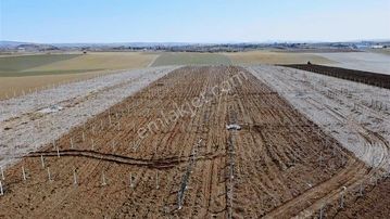 Çubuk Taşpınar Mahallesinde 230 Metre Düz 12 Taksitli Satış