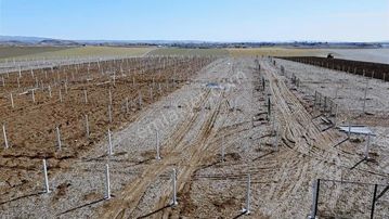 Çubuk Taşpınar Mahallesinde 230 Metre Düz 12 Taksitli Satış